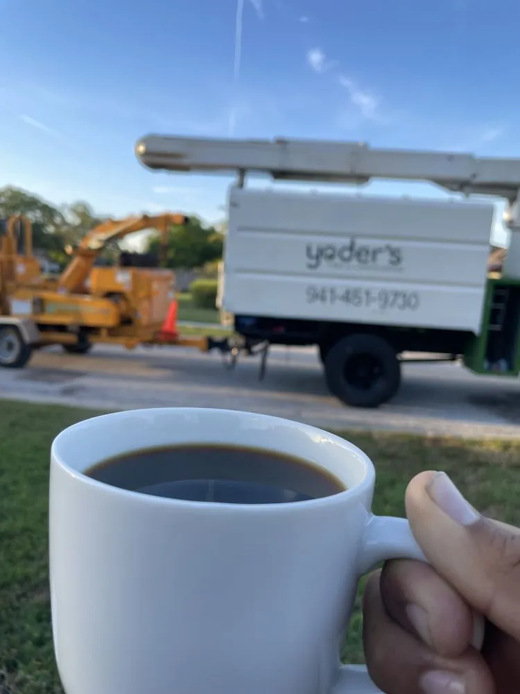 Reliable yard maintenance experts serving Sarasota, FL - Yoders Tree And Landscaping