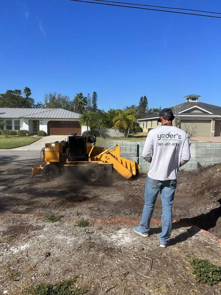 Local yard maintenance in Sarasota, FL - Yoders Tree And Landscaping