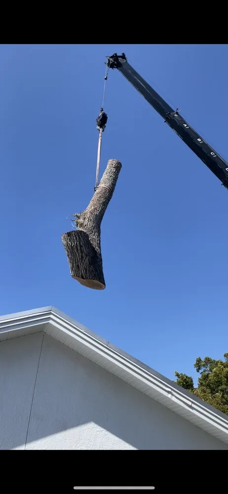 Custom yard cleanup service experts serving Sarasota, FL - Yoders Tree And Landscaping