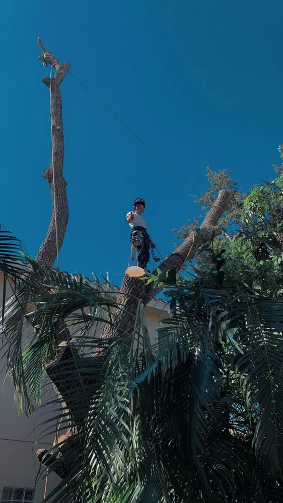 Expert landscape design for outdoor upgrades across Sarasota, FL - Yoders Tree And Landscaping