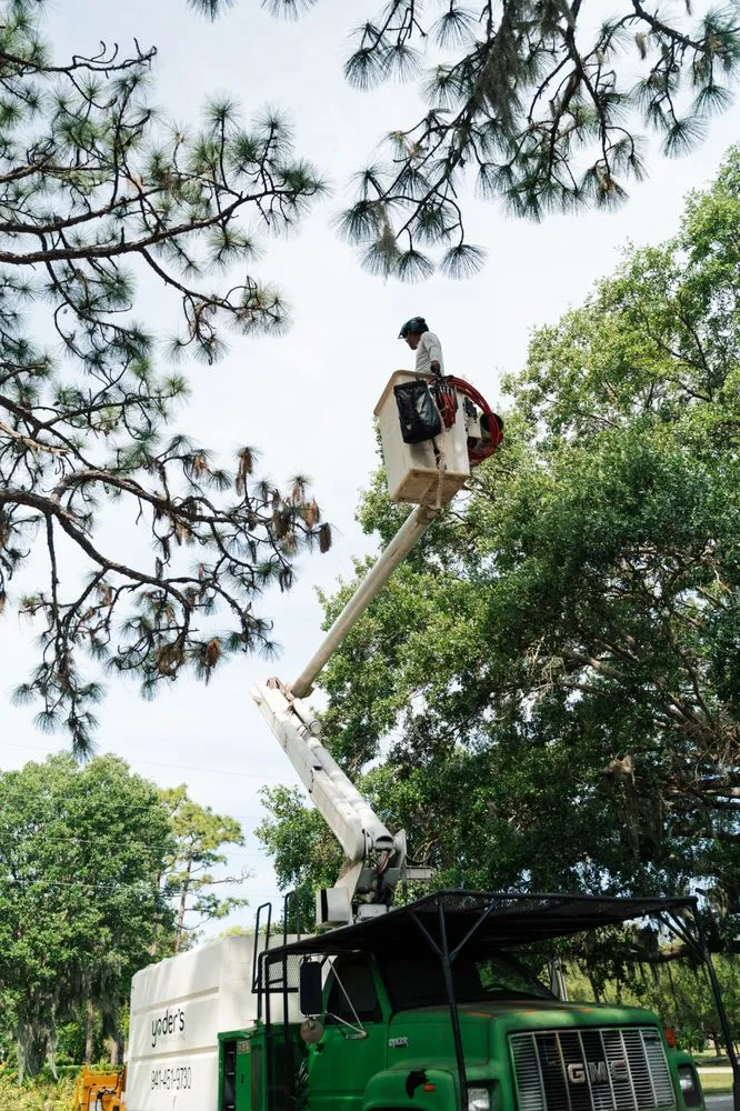 Custom yard cleanup service for year-round maintenance across Sarasota, FL - Yoders Tree And Landscaping