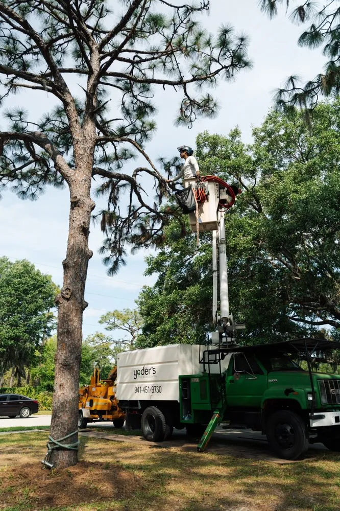 Trusted lawn mowing service for homes across Sarasota, FL - Yoders Tree And Landscaping