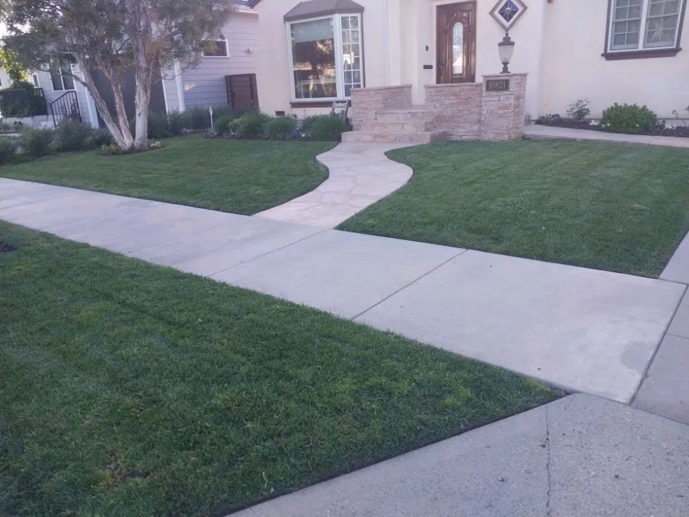 Expert yard cleanup service for residential properties in Inglewood, CA by Yogi's Landscaping