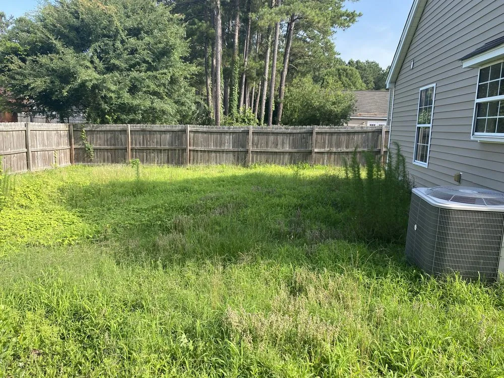 Custom lawn mowing service in Mount Pleasant, SC by Yogi's Turf Lawn Care