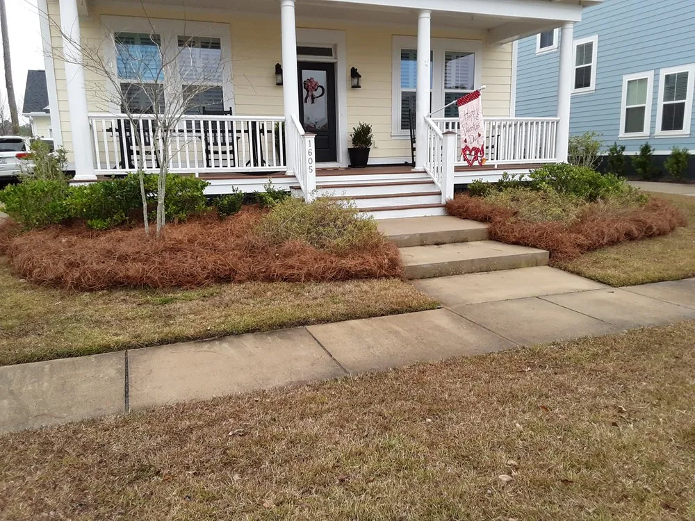 Affordable landscaping services in Mount Pleasant, SC - Yogi's Turf Lawn Care