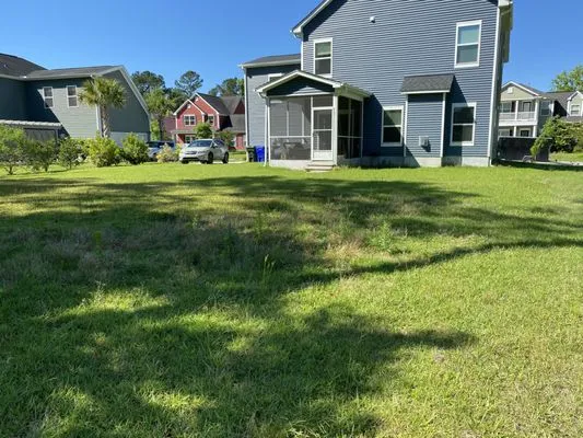 Yogi's Turf Lawn Care