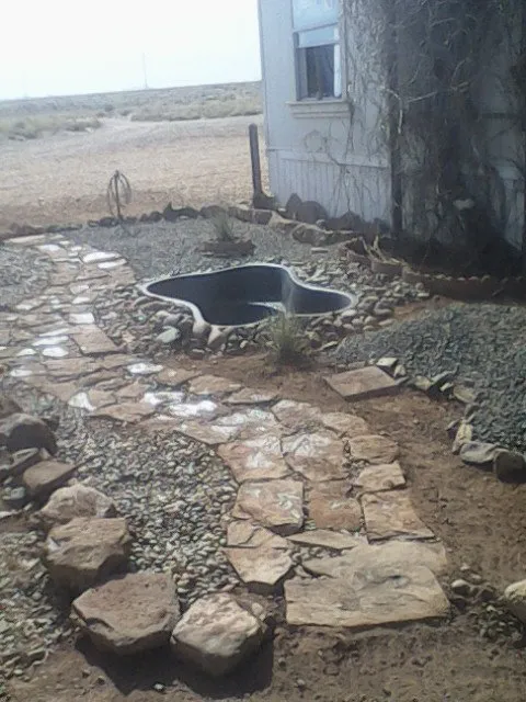 Local yard cleanup service for year-round maintenance in Cameron, AZ by YoLee Star Cleaning Service