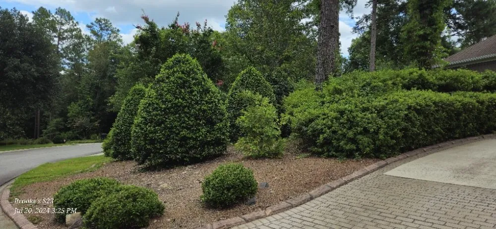 Affordable landscape design for outdoor upgrades in Windsor, SC by Yolis Exterior and Green Scape Services