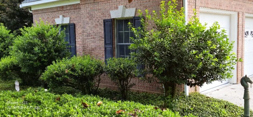 Top-rated landscaping services with custom design in Windsor, SC by Yolis Exterior and Green Scape Services