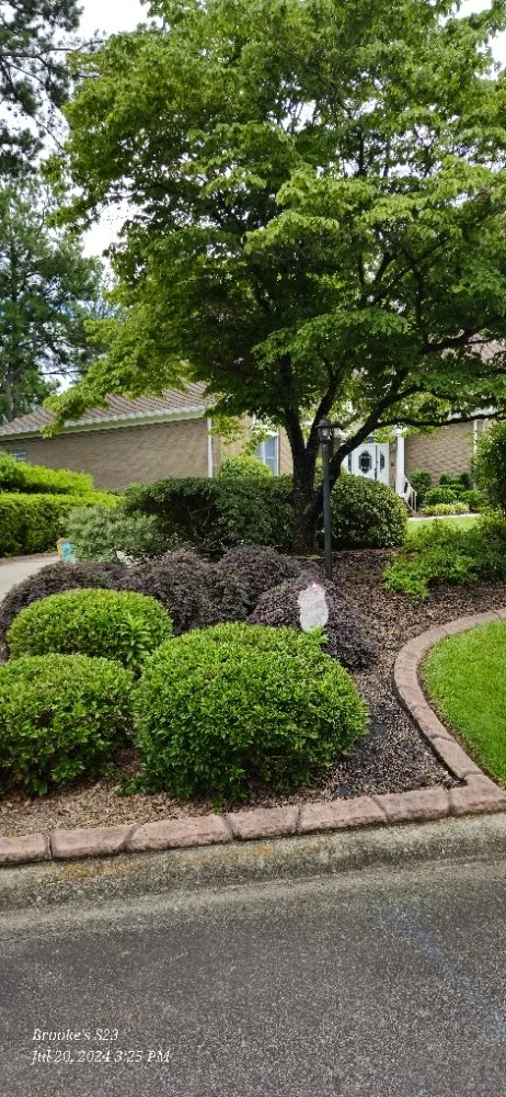 Expert outdoor landscaping for year-round maintenance in Windsor, SC by Yolis Exterior and Green Scape Services