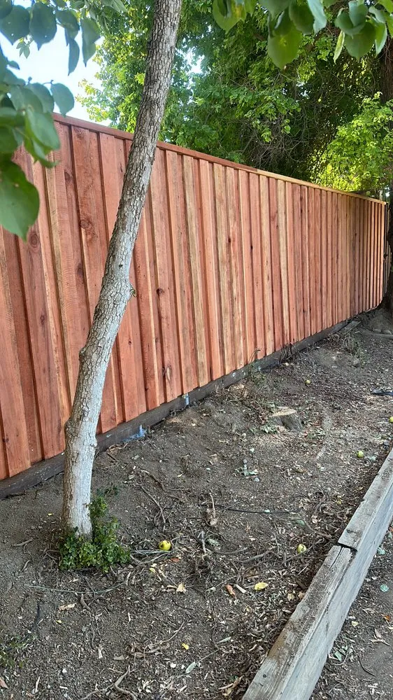 Professional yard maintenance with custom design in Woodland, CA by Yolo Landscaping