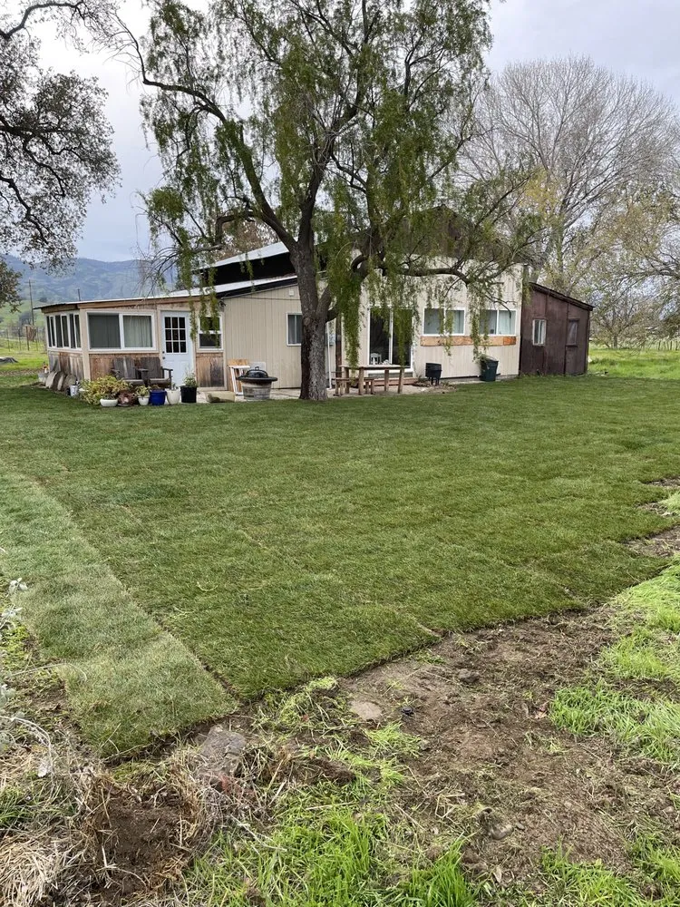 Custom outdoor landscaping for homes in Woodland, CA by Yolo Landscaping