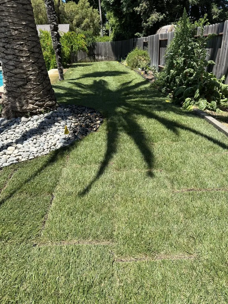 Affordable garden landscaping in Woodland, CA - Yolo Landscaping