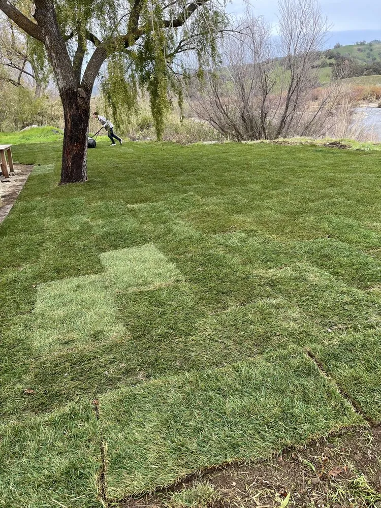 Local landscape design for year-round maintenance across Woodland, CA - Yolo Landscaping