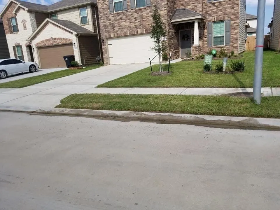 Trusted lawn care service in Katy, TX - Yolye Maid Services