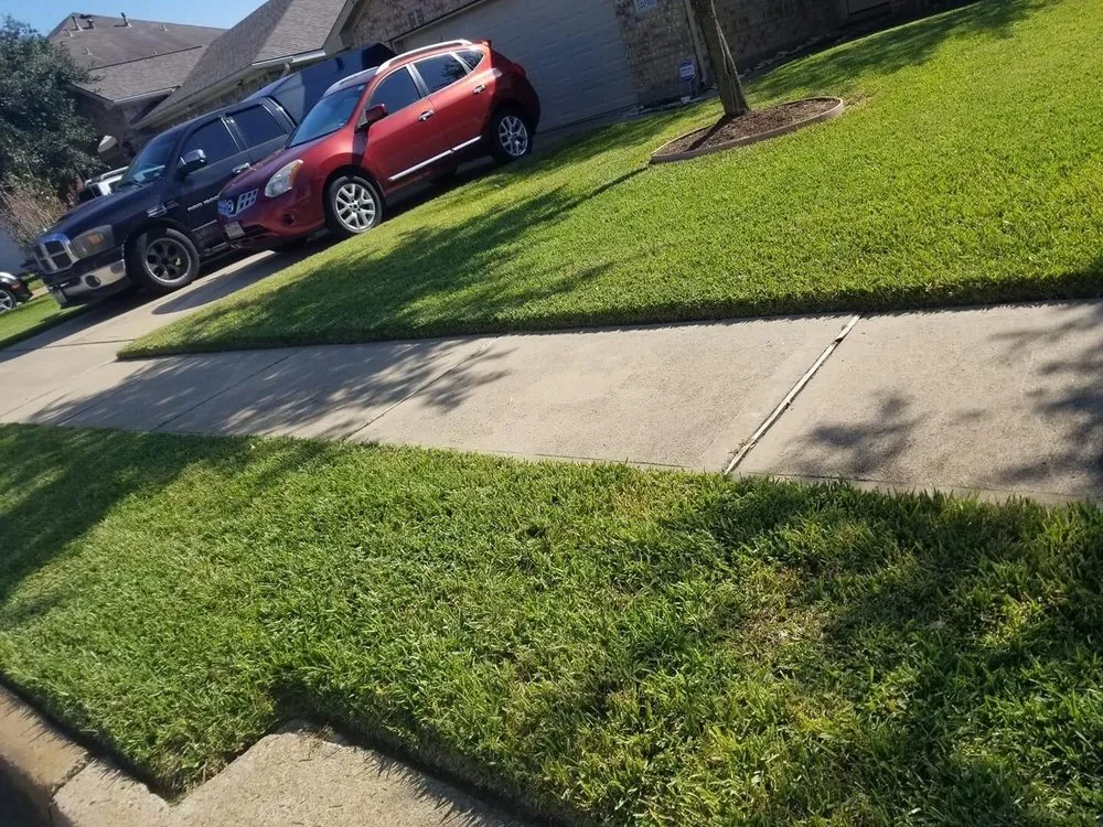 Affordable lawn mowing service experts serving Katy, TX - Yolye Maid Services