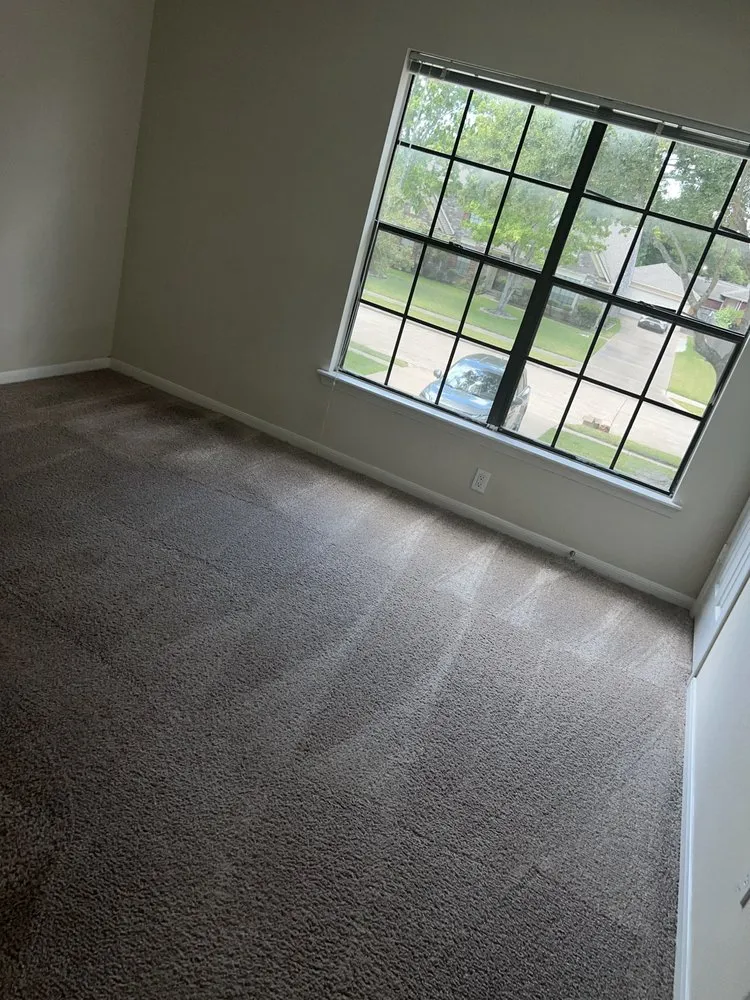 Custom yard cleanup service in Katy, TX by Yolye Maid Services