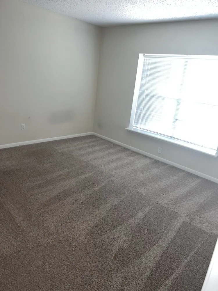 Reliable landscape installation for homes across Katy, TX - Yolye Maid Services