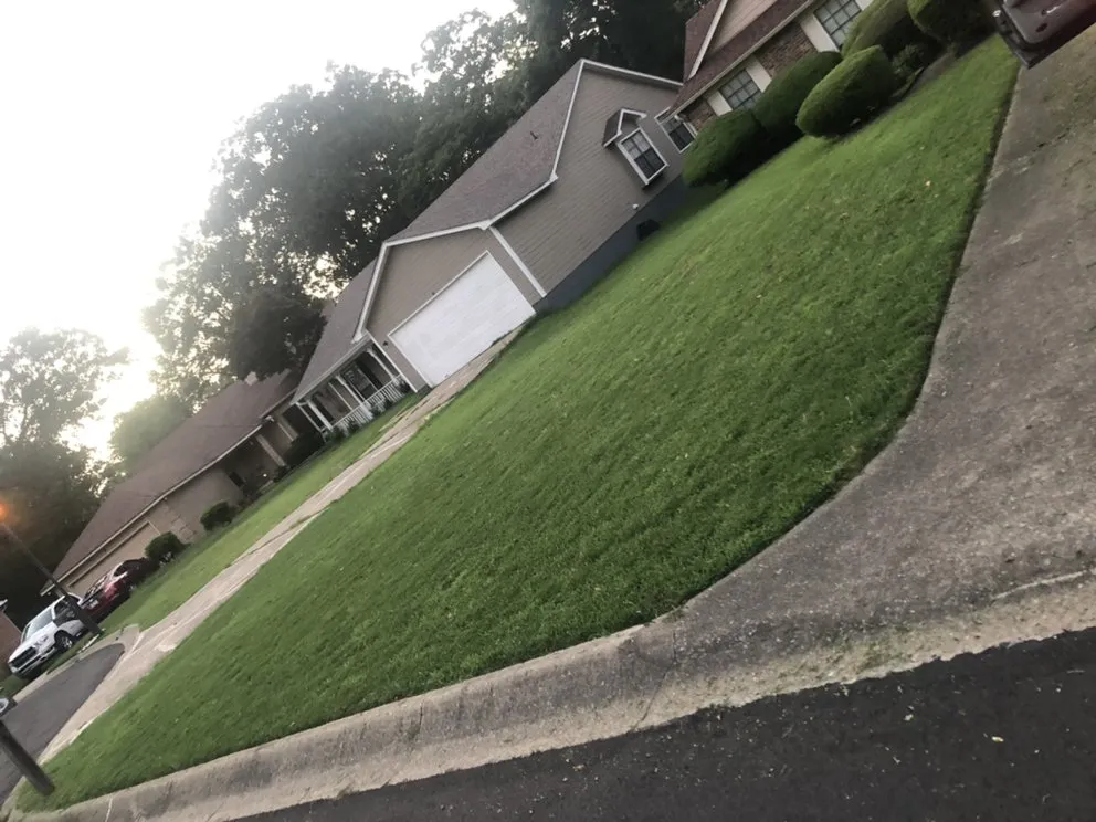 Expert yard cleanup service for outdoor upgrades in Little Rock, AR by Yonathan's Lawn Service