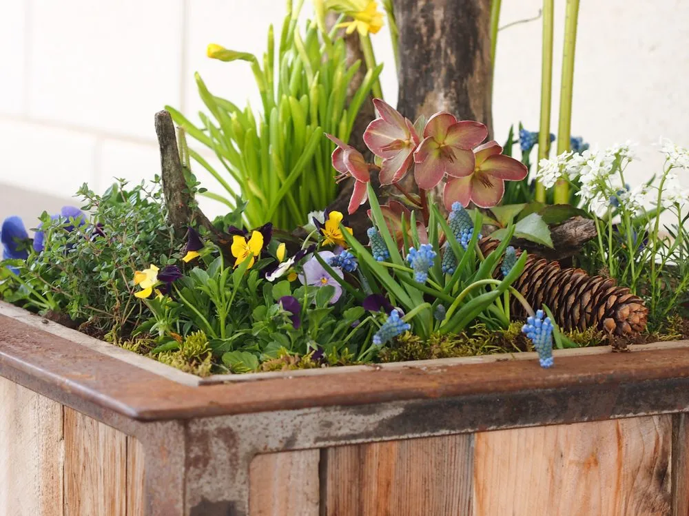 Top-rated lawn care service for beautiful yards in Bellefonte, PA by Yonder Mountain Conservation