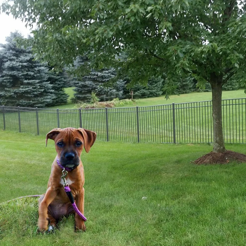 Professional yard cleanup service experts serving Bellefonte, PA - Yonder Mountain Conservation