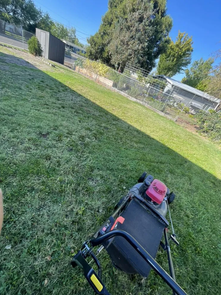 Professional landscaping services for residential properties in Medford, OR by Yoni Lawn Services