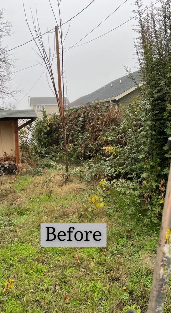 Expert landscaping services for residential properties in Medford, OR by Yoni Lawn Services