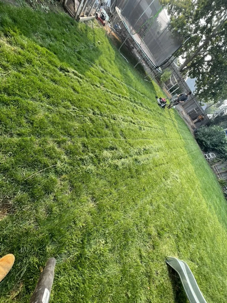 Top-rated yard cleanup service for year-round maintenance in Medford, OR by Yoni Lawn Services