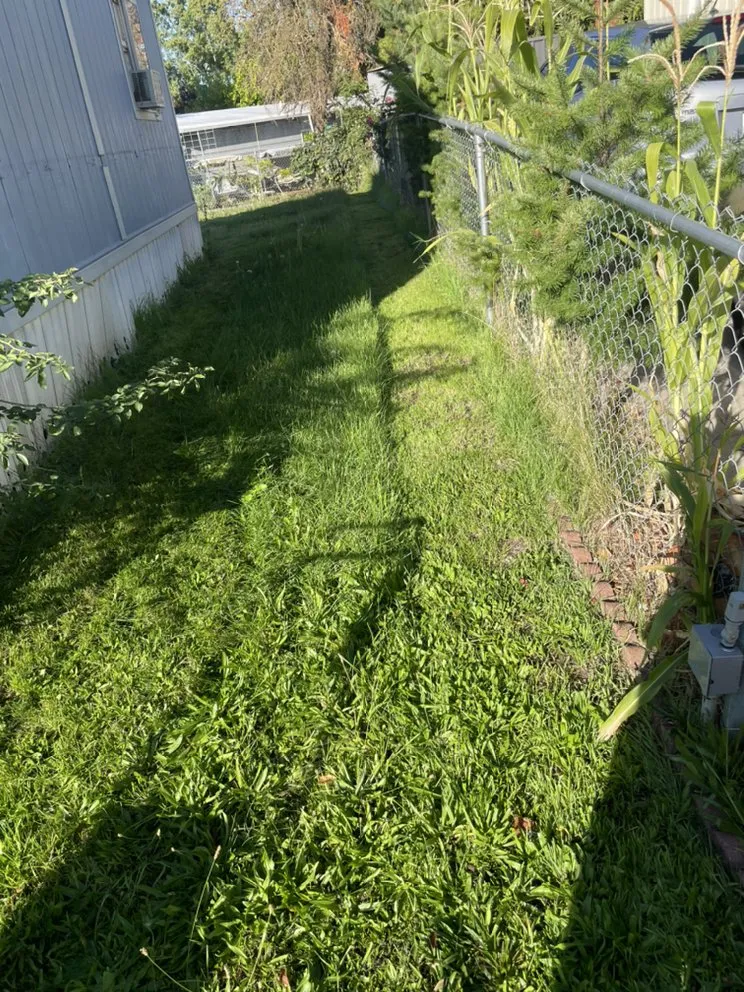 Local landscape installation for outdoor upgrades in Medford, OR by Yoni Lawn Services