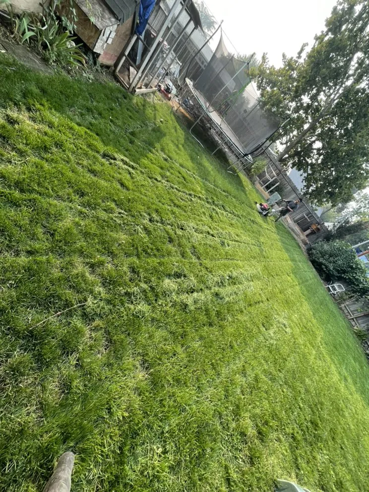 Top-rated lawn care service experts serving Medford, OR - Yoni Lawn Services