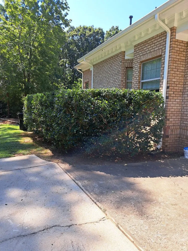 Affordable landscape installation in Fuquay Varina, NC - Yonscapes