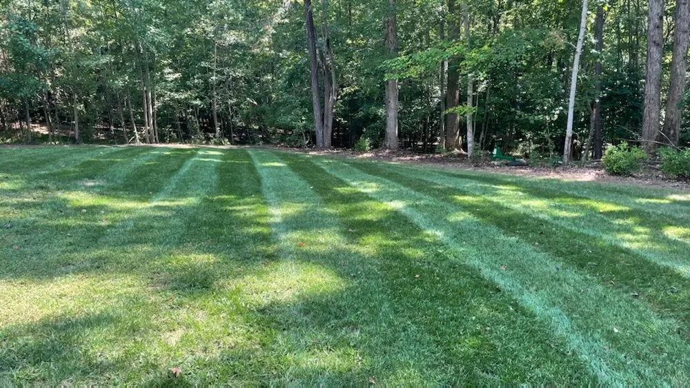 Reliable yard cleanup service in Fuquay Varina, NC - Yonscapes