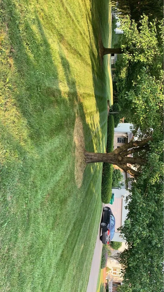 Local landscaping services in Zanesville, OH by Yontz Services