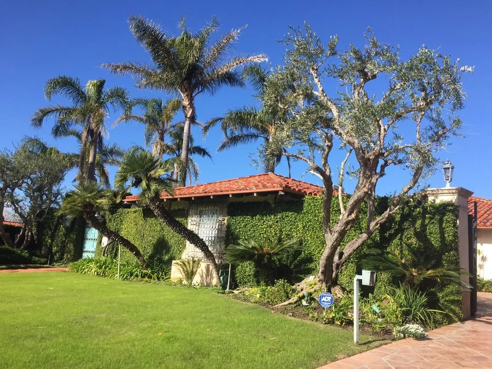 Professional yard maintenance in Torrance, CA by Yoon's Landscaping and Gardening Service