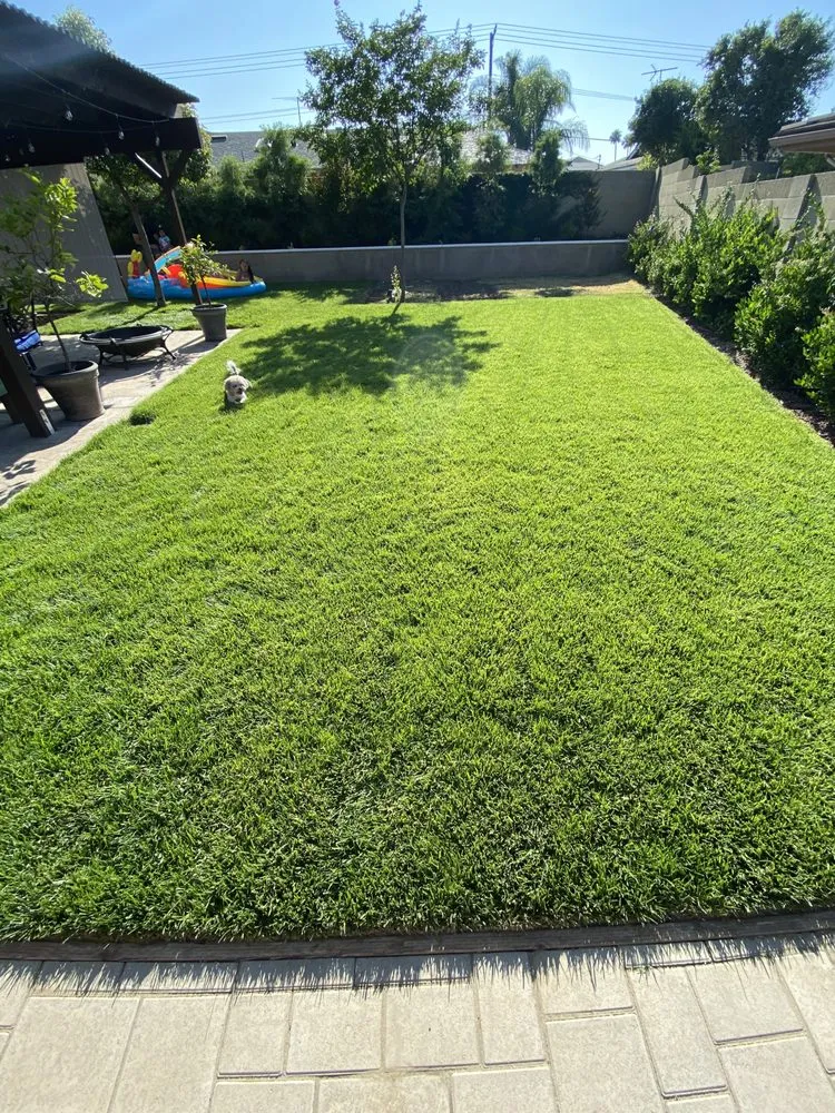 Affordable landscaping services for residential properties in Placentia, CA by Yorba Yard Care