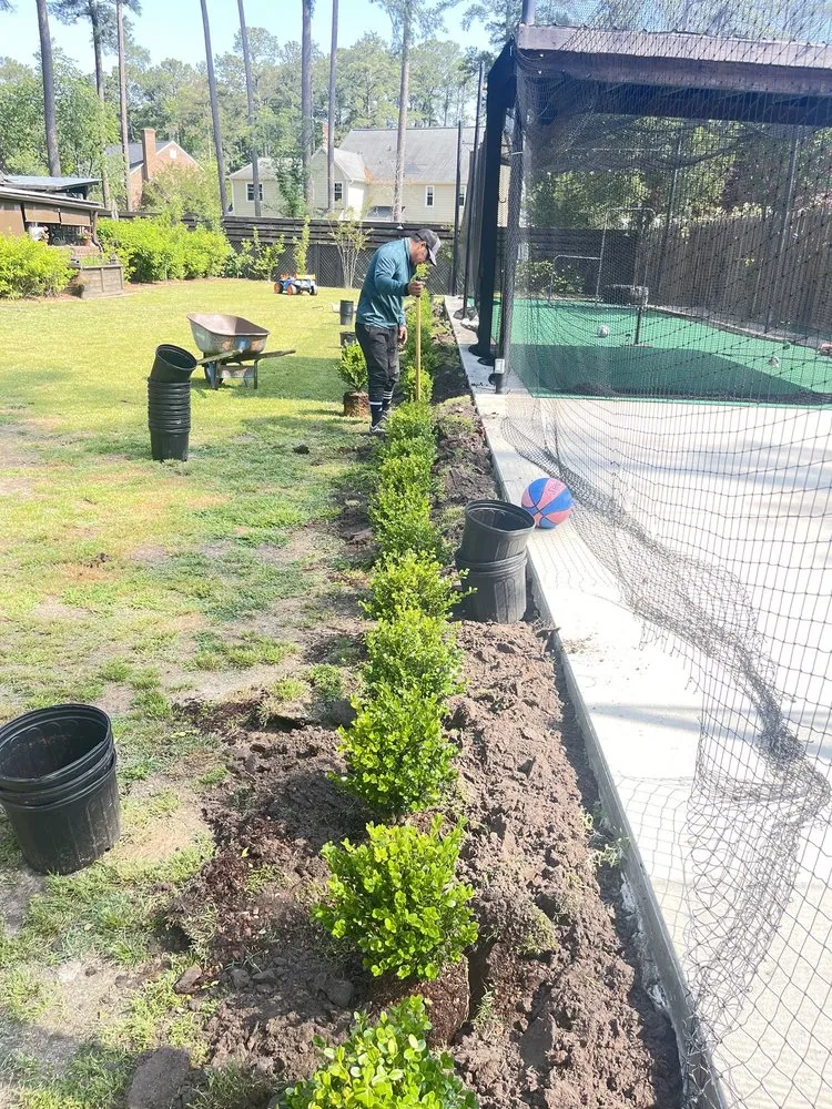 Expert lawn mowing service near you in Greenville, NC by Yorch laun care landscaping