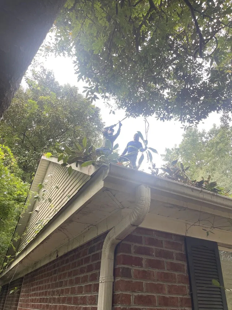 Custom garden landscaping for year-round maintenance in Greenville, NC by Yorch laun care landscaping