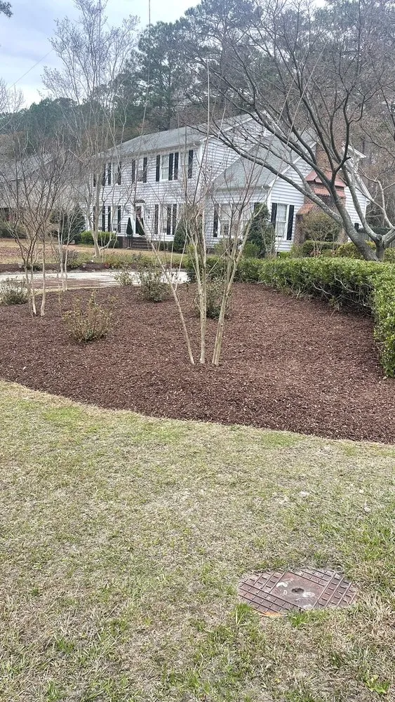 Affordable lawn care service experts serving Greenville, NC - Yorch laun care landscaping