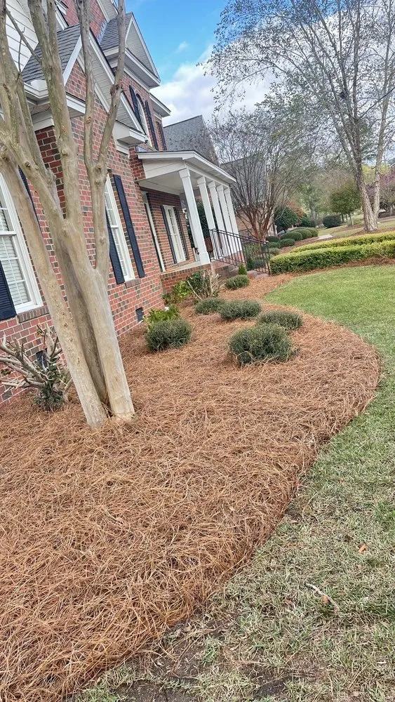 Professional yard maintenance experts serving Greenville, NC - Yorch laun care landscaping