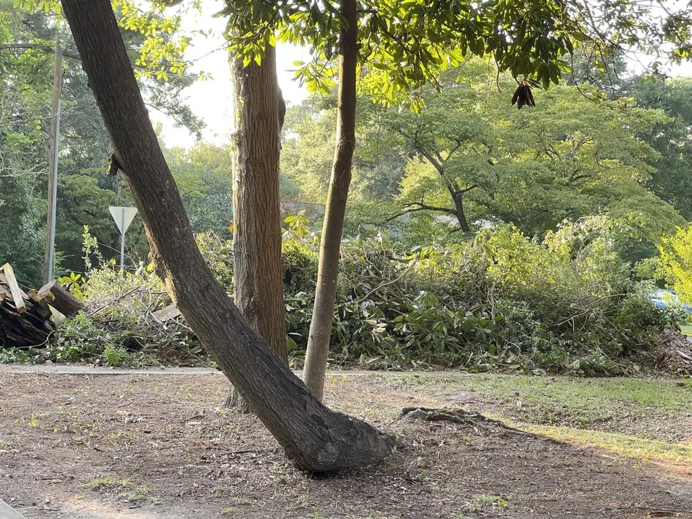 Reliable outdoor landscaping for homes in Greenville, NC by Yorch laun care landscaping