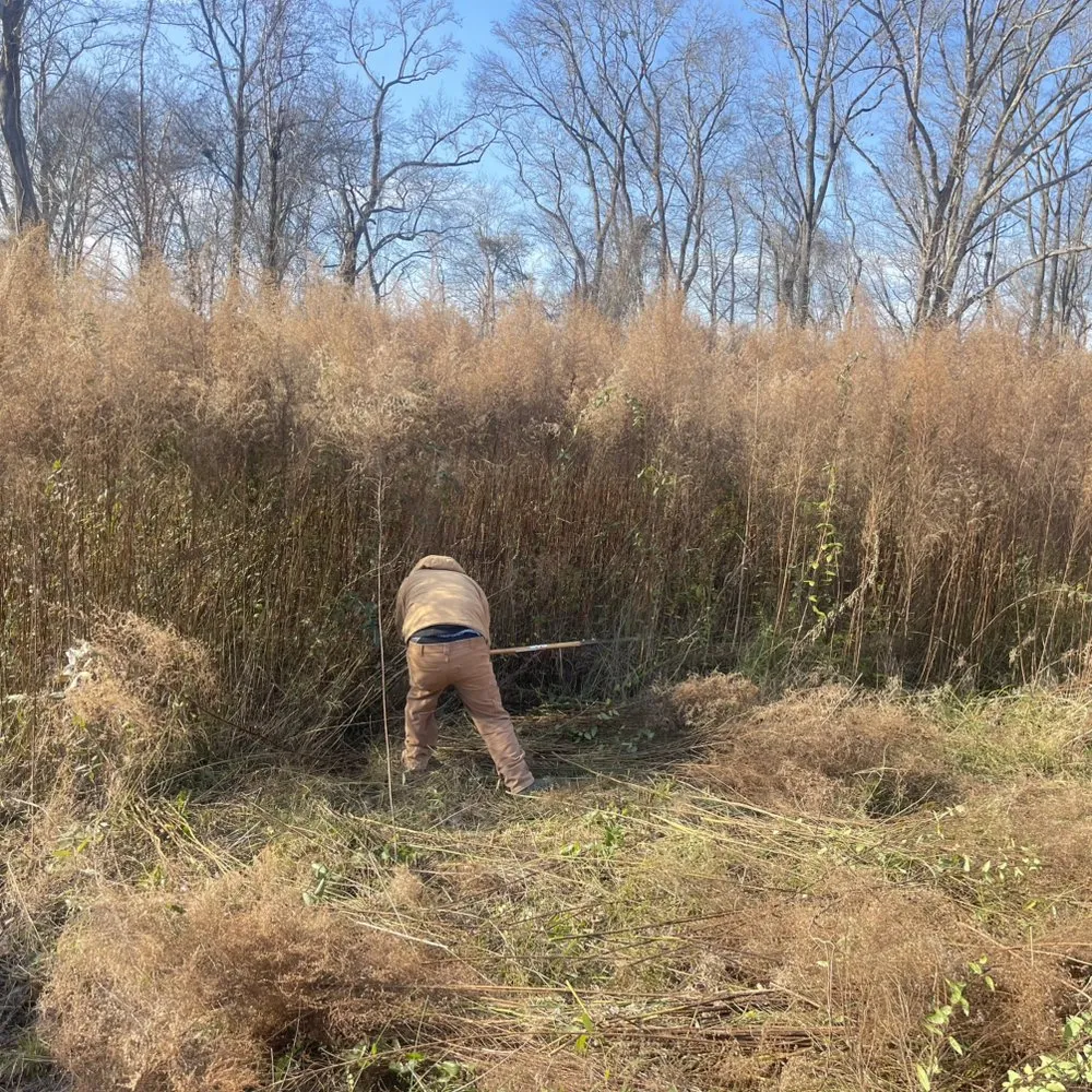 Expert yard cleanup service for residential properties in Greenville, NC by Yorch laun care landscaping