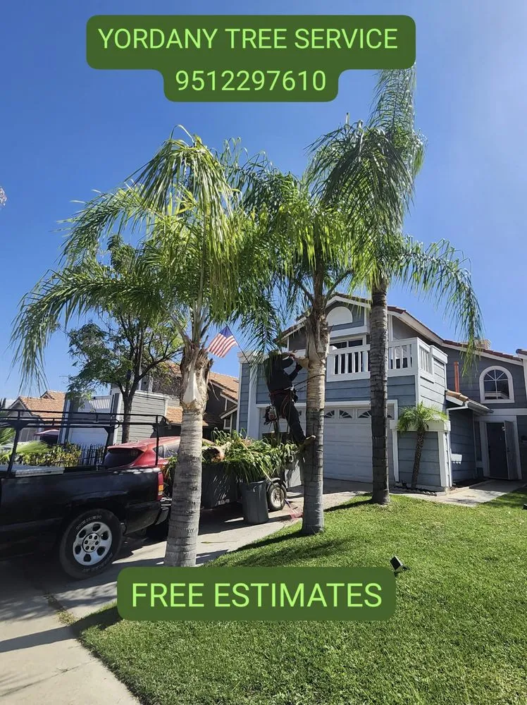 Local yard maintenance for beautiful yards across Perris, CA - Yordany Tree Service and Landscaping