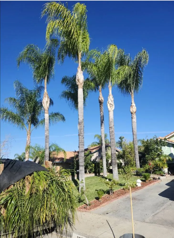 Reliable garden landscaping for residential properties in Perris, CA by Yordany Tree Service and Landscaping