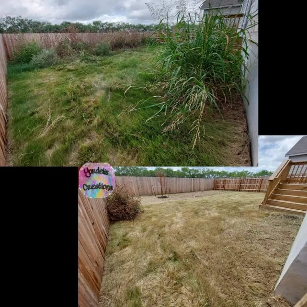 Reliable lawn mowing service for homes in San Antonio, TX by Yordelis Creations