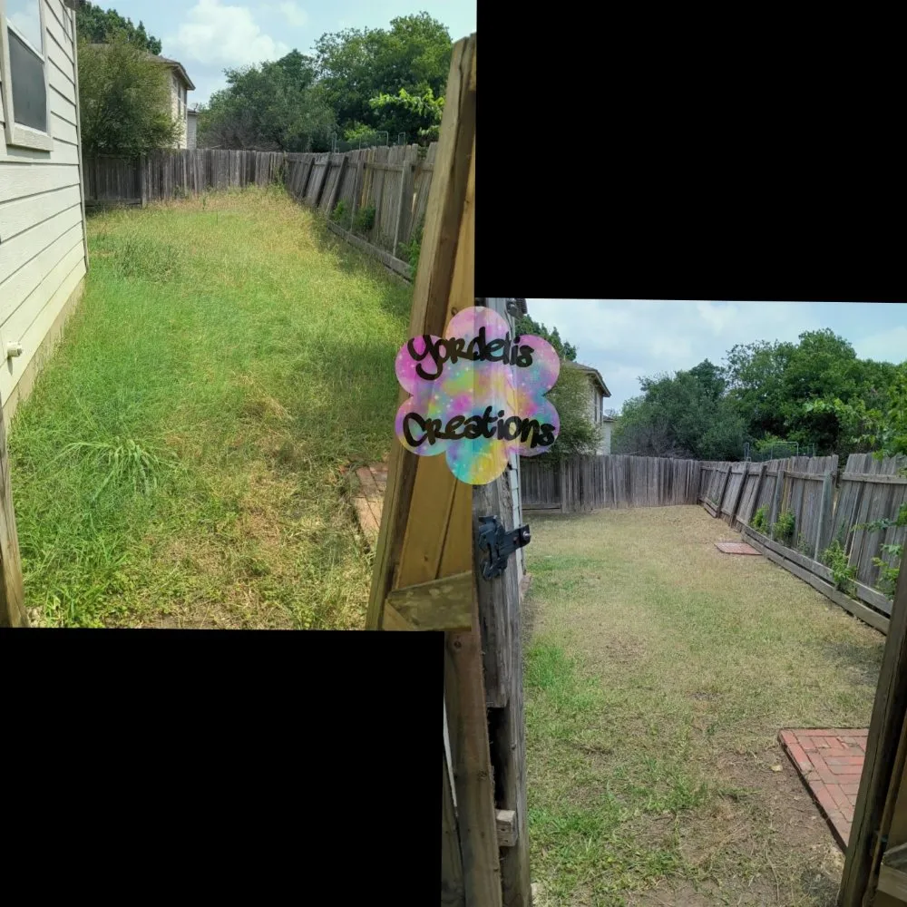 Professional yard cleanup service for residential properties in San Antonio, TX by Yordelis Creations