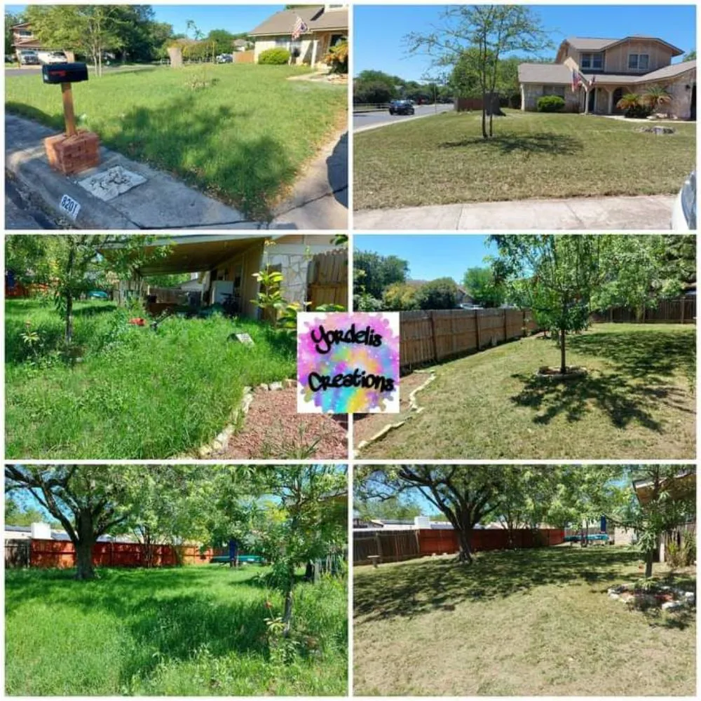 Reliable landscape design for beautiful yards across San Antonio, TX - Yordelis Creations