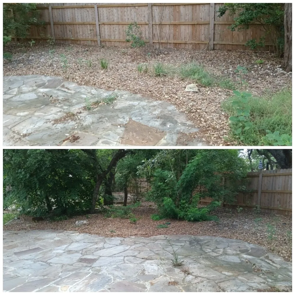Trusted residential landscaping in San Antonio, TX by Yordelis Creations