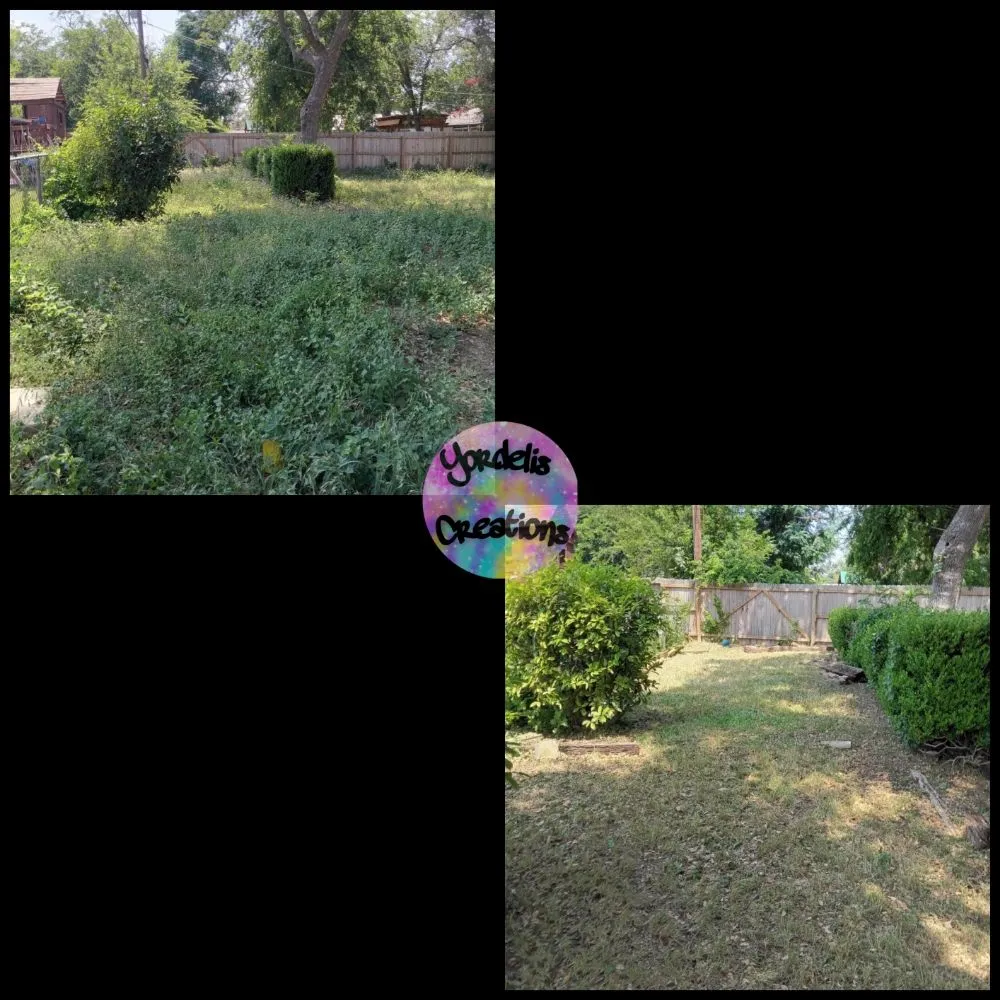 Top-rated lawn mowing service for beautiful yards in San Antonio, TX by Yordelis Creations