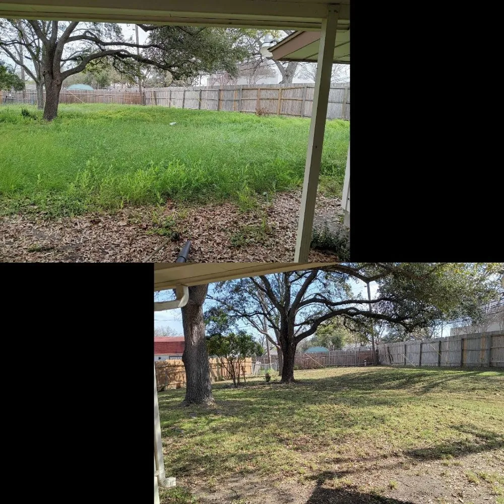 Professional outdoor landscaping in San Antonio, TX by Yordelis Creations