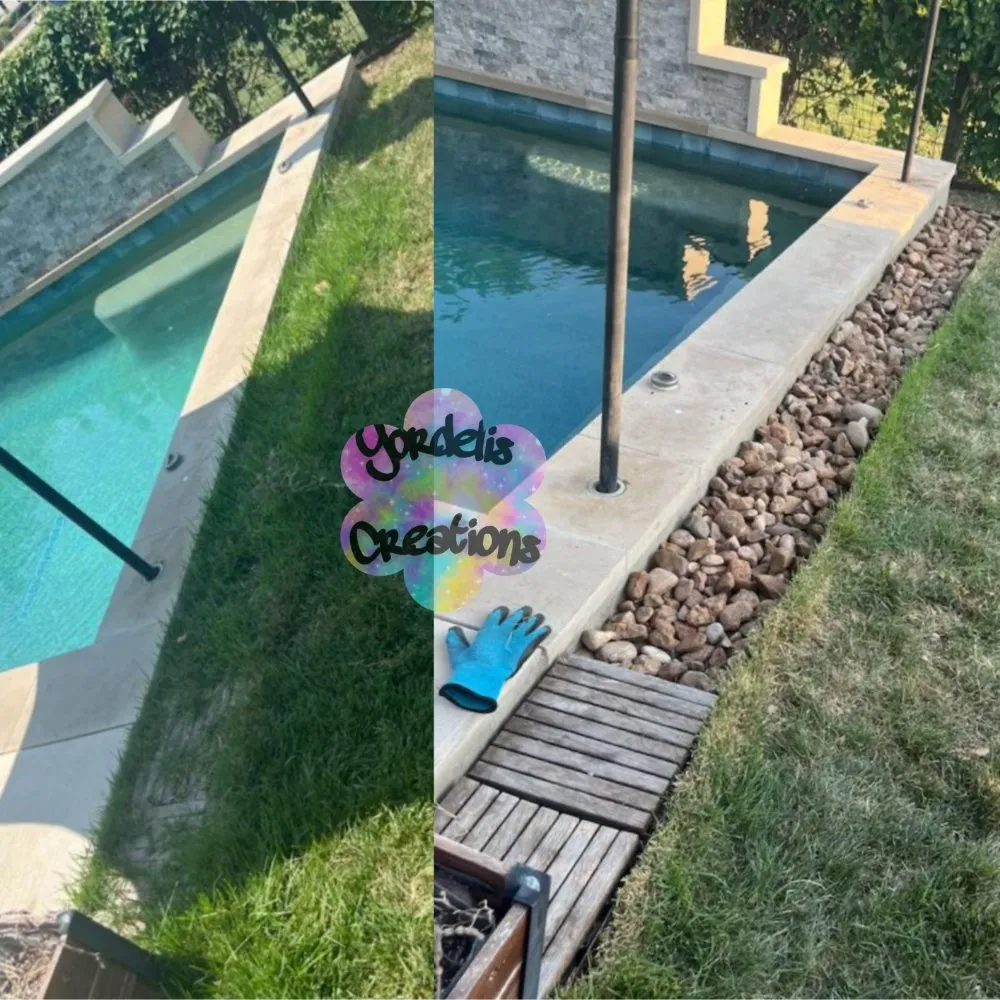 Trusted yard maintenance in San Antonio, TX by Yordelis Creations